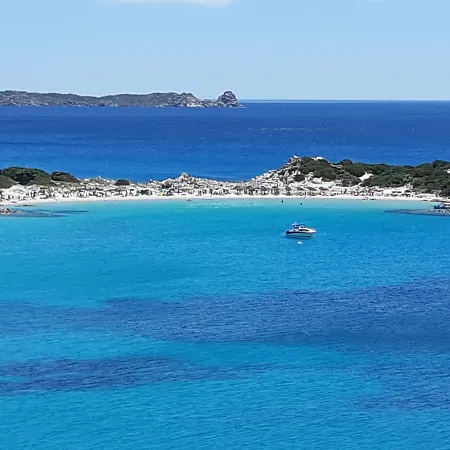 Valepina * 维拉西米乌斯