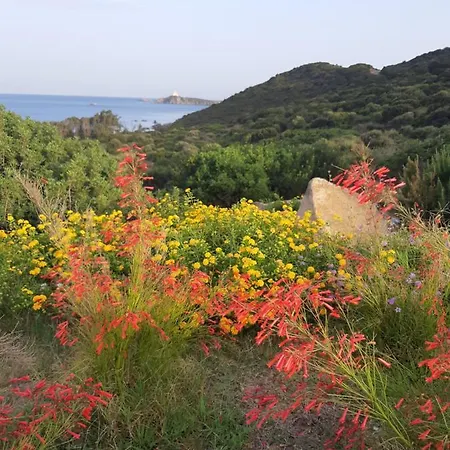 Valepina فيلة *