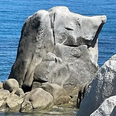 فيلة Valepina