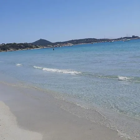 Valepina * 维拉西米乌斯